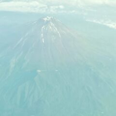 ナット型斬新指輪事件