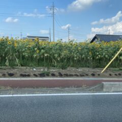 金が急騰していたってオーダー会は不滅です！