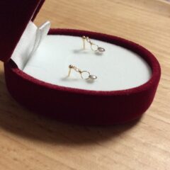 夜人はダイヤをよなよなチマチマより分ける