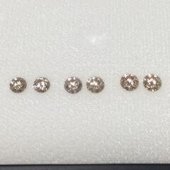 不思議な百合の香りのあと