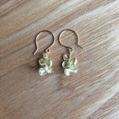 宝くじ、高額当選を狙う！！