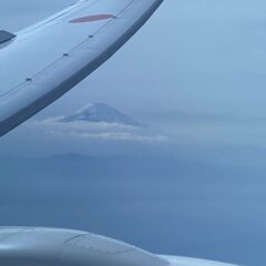 引っ越しでご無沙汰になってしまいました