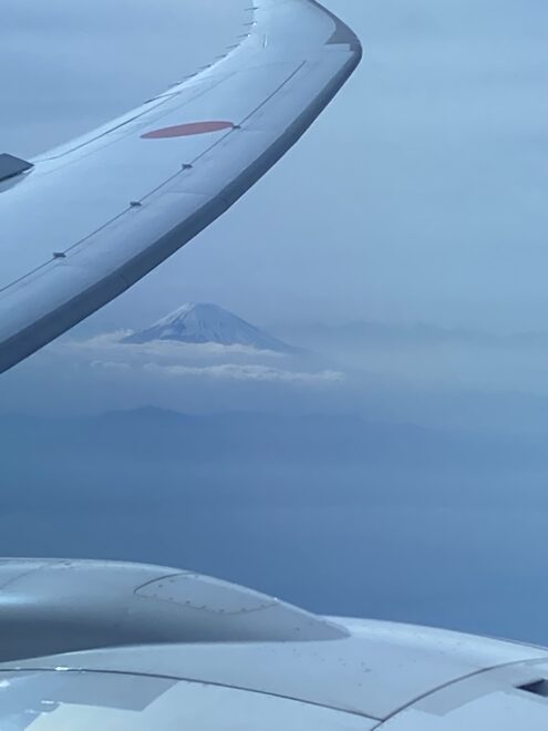 翼の間から覗く富士山