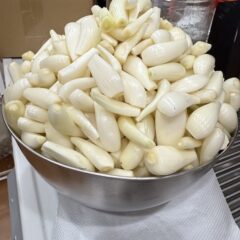 らっきょうジェンガ！本日はジュエリーじゃなくてラッキョウむいています！